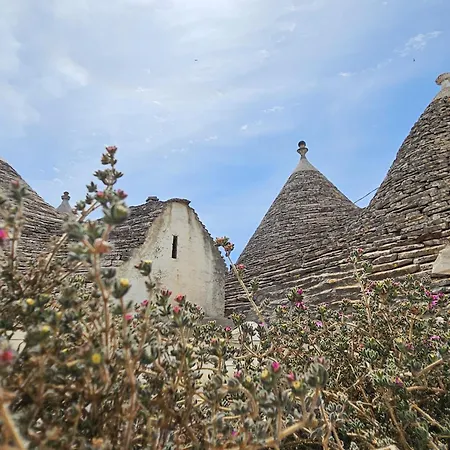 Ddo E Dde Dimore Nr 52 *