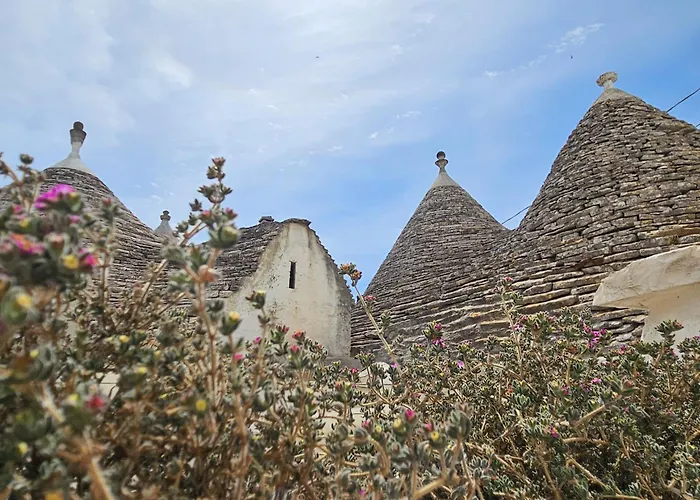 Ddo E Dde Dimore Nr 52 *